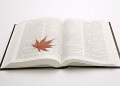 甘冈客场不敌亚眠，法甲保级形势岌岌可危